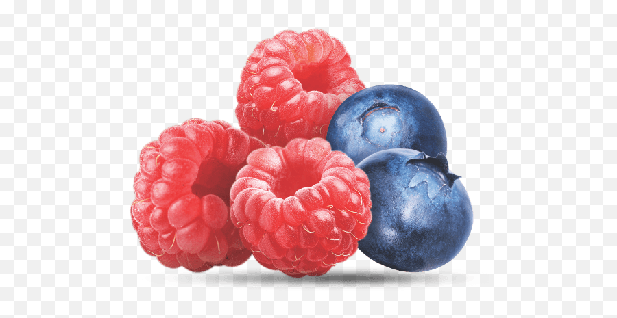 Download Hd Raspberry Blueberry - Blueberry Transparent Png Frutti Di Bosco,Blueberry Png