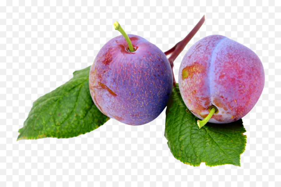 Plum With Leaf Png Image - Plum Aesthetic Transparent,Plum Png