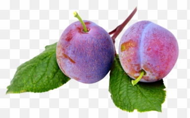 Plum With Leaf Png Image - Plum Aesthetic Transparent,Plum Png