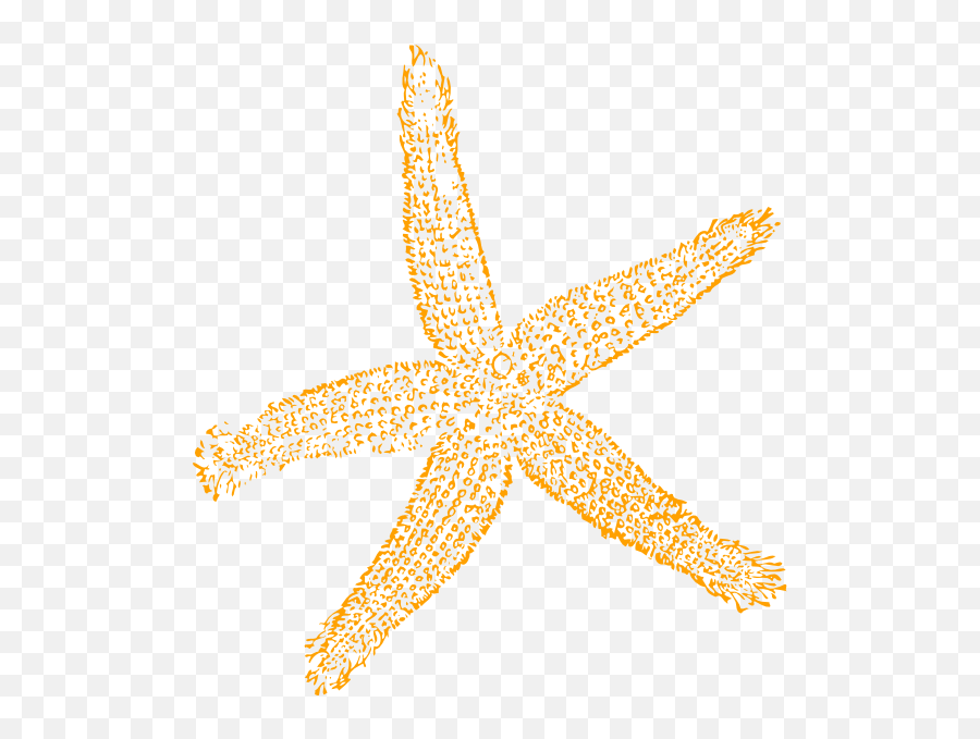 Best Free Images Clipart Starfish Png - Fish Clip Art,Starfish Transparent Background