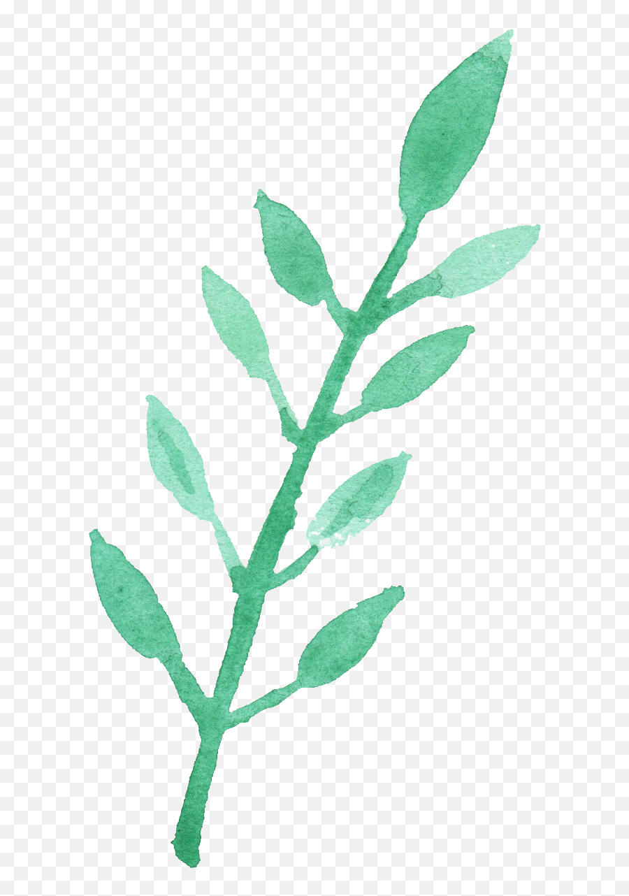 Watercolor Leaf Vol - Watercolor Leaves Green Png,Mint Leaves Png