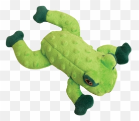Snugarooz Lilly Frog Green Dog Toy 10 - Snugarooz Lilly The Frog Png,Dog Toy Png