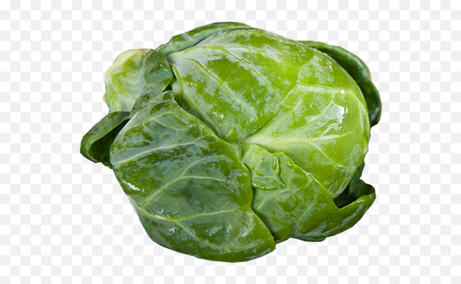 Brussels Sprouts - Sprouts Big Png,Sprout Png