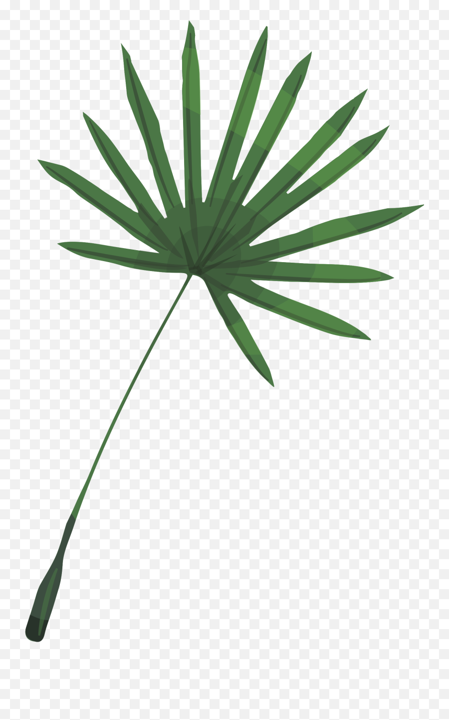 Free Palm Png With Transparent Background - Fresh,Palm Fronds Png