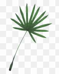 Free Palm Png With Transparent Background - Fresh