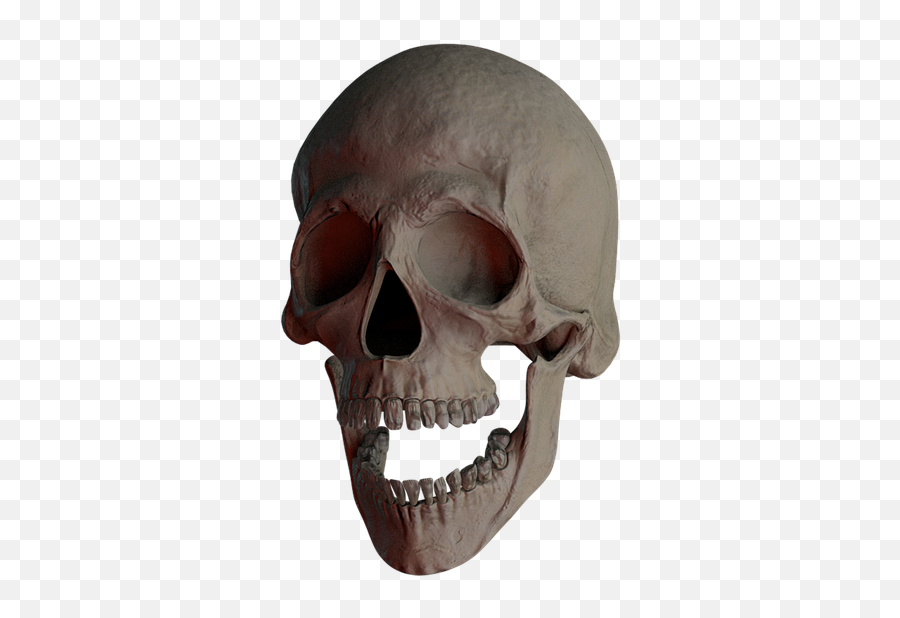 Free Photo Bone Skull And Crossbones Creepy Weird - Skull Png,Skull And Crossbones Png