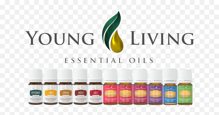 Essential Oil Alchemy - Young Living Png Logo,Young Living Logo