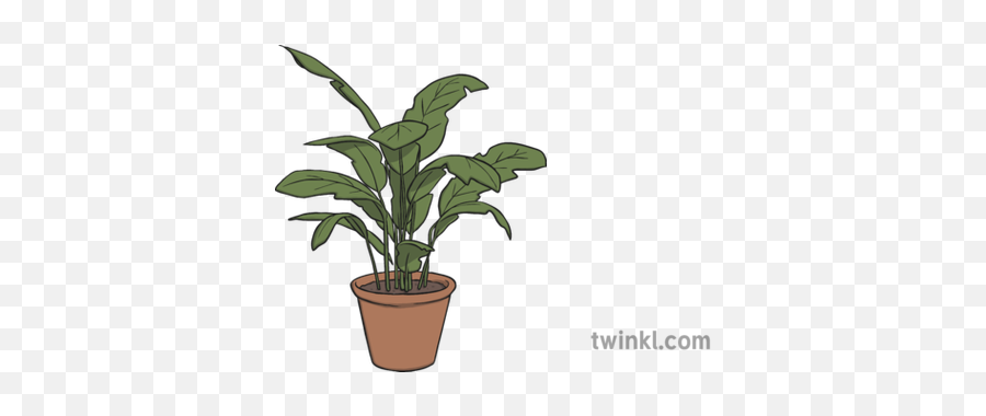Potted Plant 1 Illustration - Flowerpot Png,Potted Plant Png