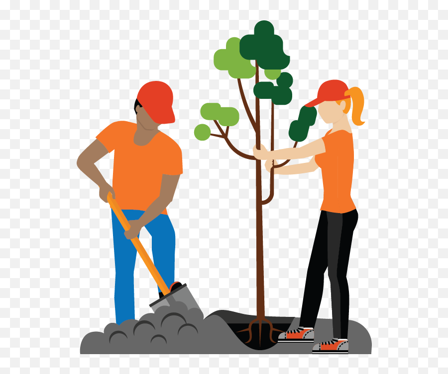 Gardener - Plant Tree Program Clipart Png,Gardener Png