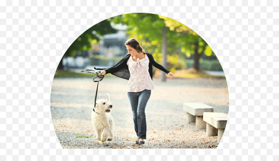 Dog Walking Jobs Vancouver Release The Hounds - Lady Walking With Dog Png,People Walking Dog Png
