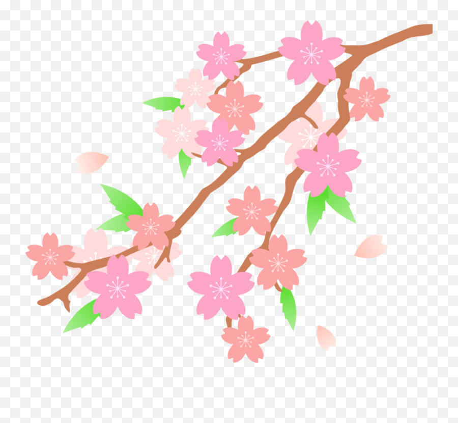 Download Free Png Blossom - Dlpngcom Cherry Blossoms Clip Art,Sakura Flower Png