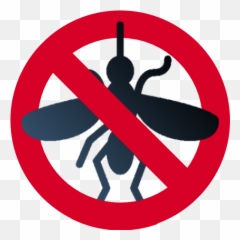 Anti Mosquito - Insect png