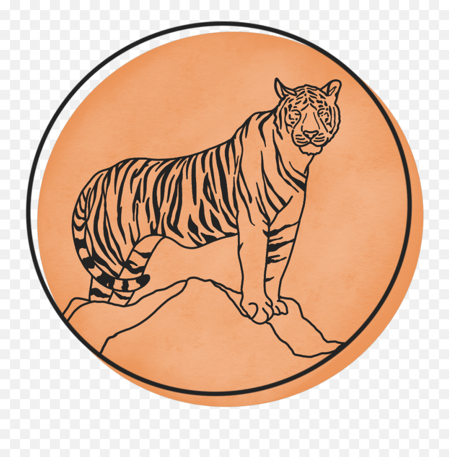 Tiger Sun Tee - Untiled Png,Bengal Tiger Icon