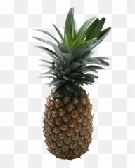 Pineapple Png Images Transparent Free