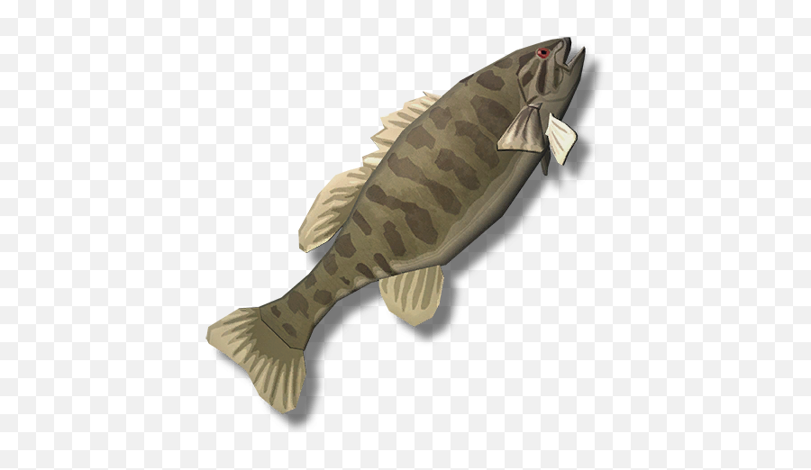 Smallmouth Bass The Long Dark Wiki Fandom - Fish The Long Dark Png,Bass Fish Icon