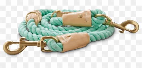 Bond U0026 Co Turquoise Buff Rope Dog Leash Ft - png