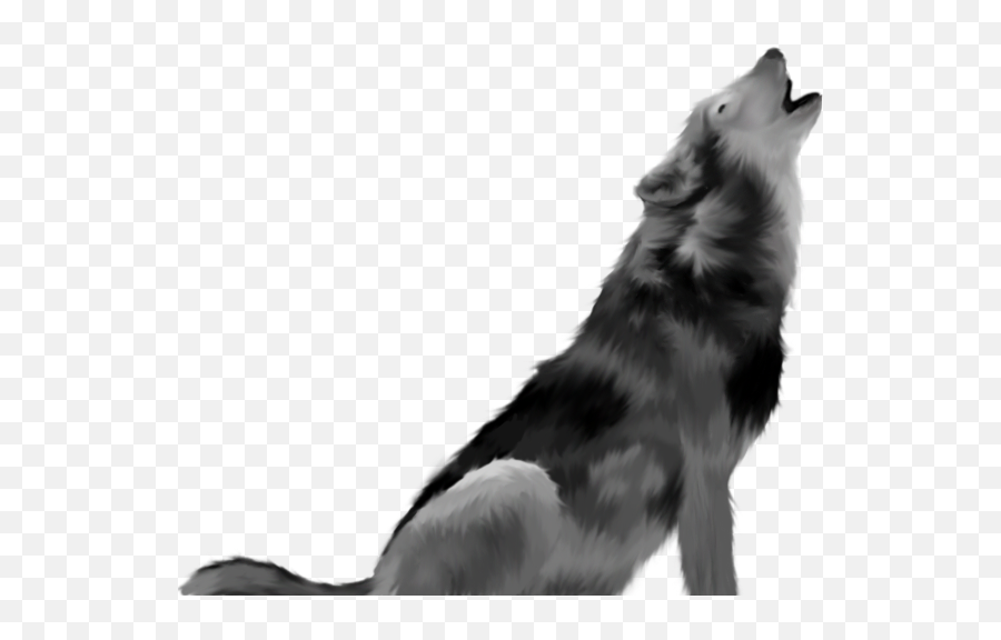 Wolf Png Howling - Clipart Best Grey Wolf Howling Transparent Background,Howling Wolf Icon