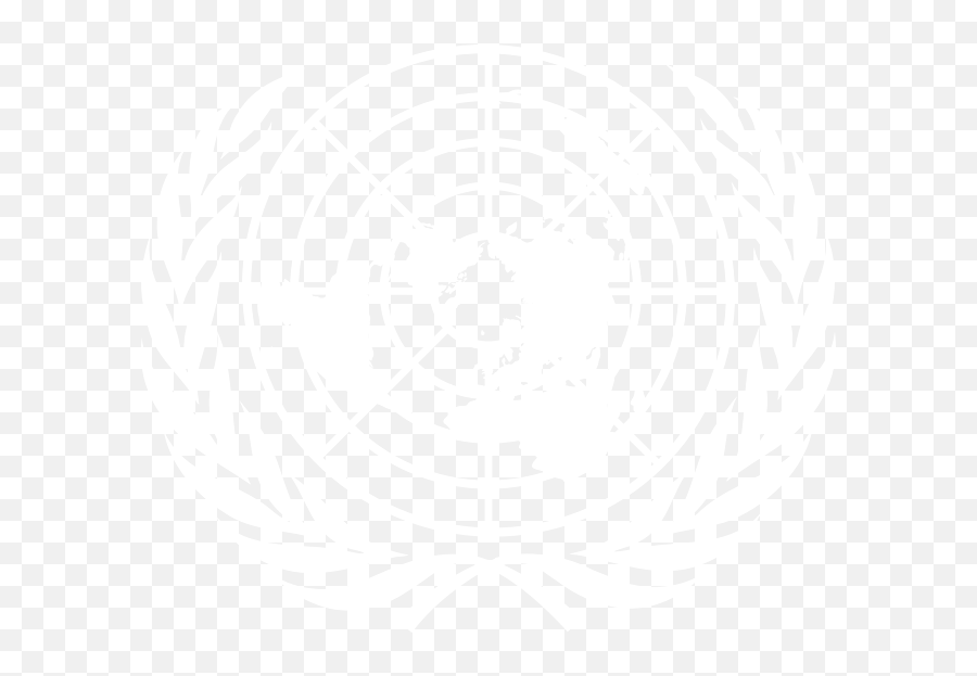 International Civil Service Commission - Costofliving Onu White Logo Png,United Nations Flag Icon