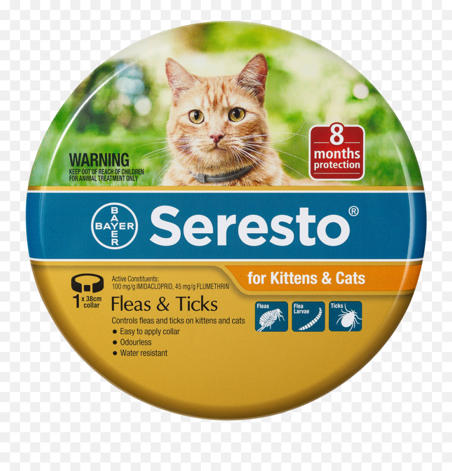 Kitten Flea Collarwelcome To Buytrscollegerewaorg - Seresto Cat Collar Png,Kuiu Icon Pro 7200