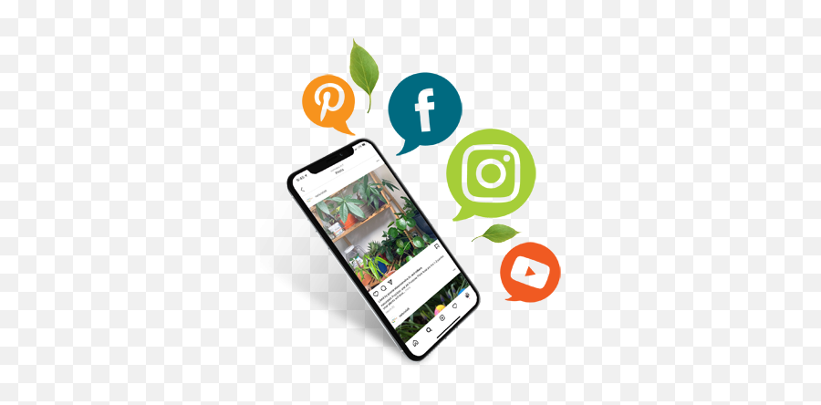 Get Social With Us Natural Alternative - Telegram Whatsapp Instagram Png,Social Icon Font