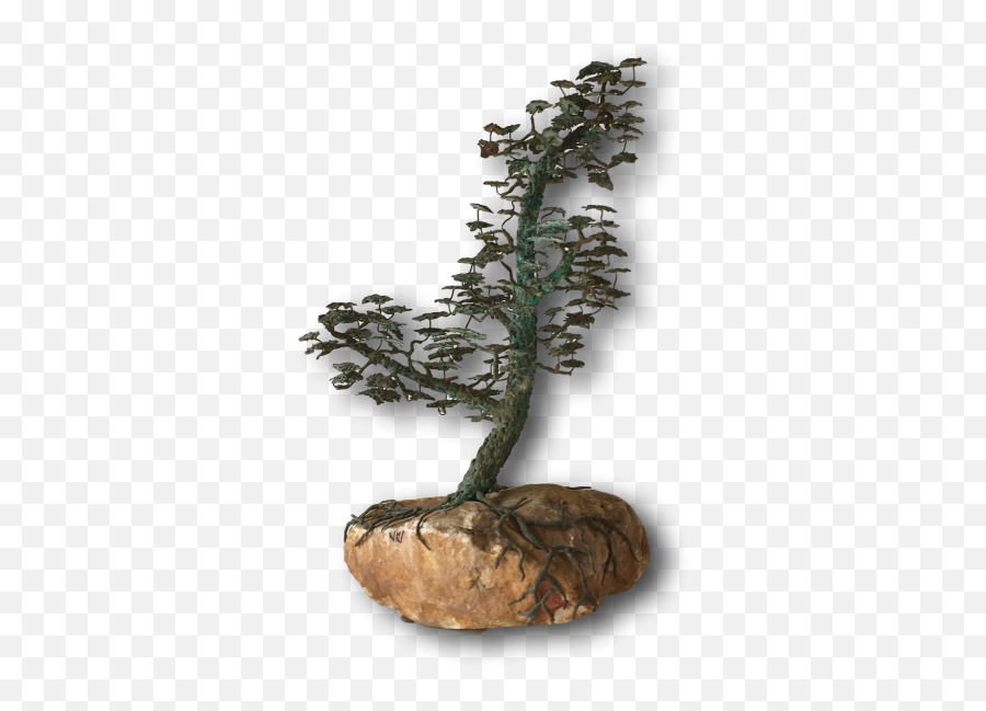 Bronze Of A Bonsai Tree In Full Leaf 1960s - Houseplant Png,Bonsai Tree Png
