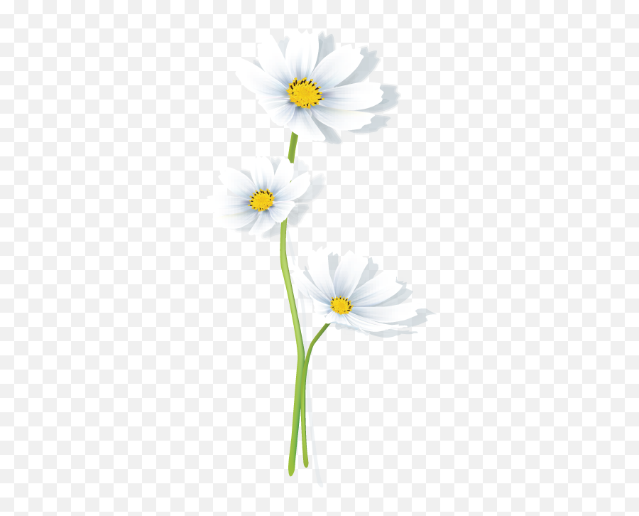Create Your Own Flower Logo Free - Daisy Logo Templates Oxeye Daisy Png,Transparent Daisy