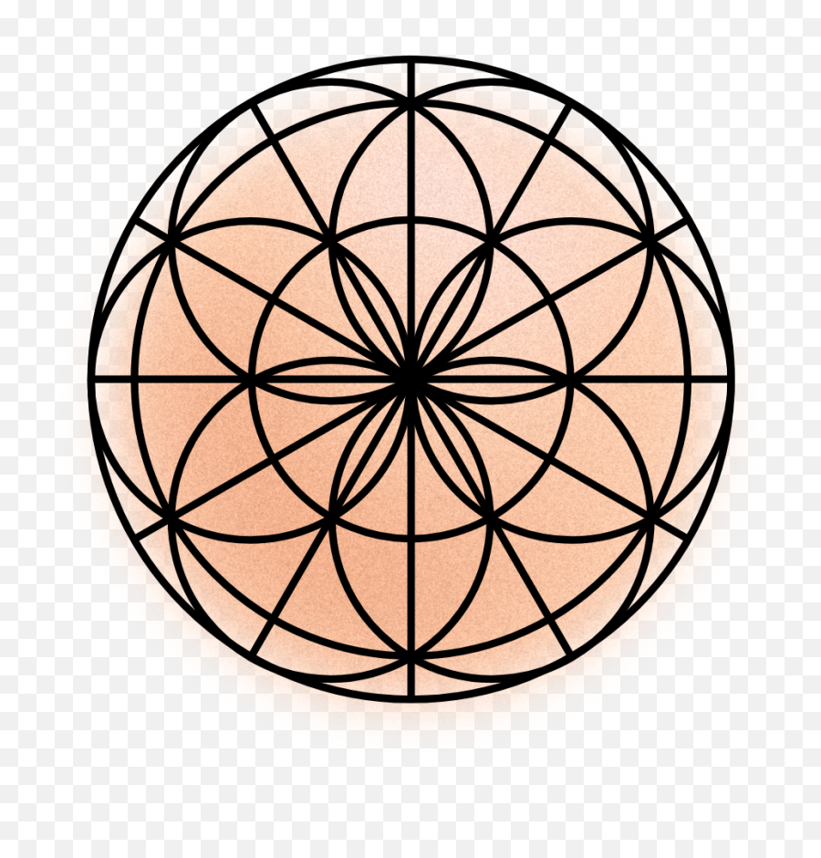 Empowered Warriors Webinar Making Mindfulness Fun Png Flower Of Life Icon