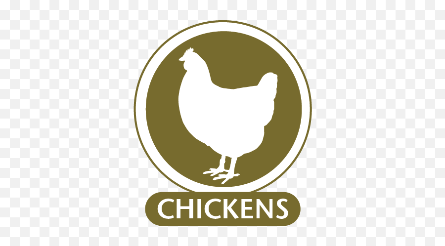 Flow Cytometry Laboratory - Quotes About Chicken Barbeque Png,Animal Jam Rare Icon