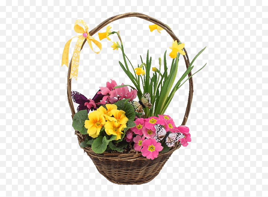 Spring Basket Of Flowers Pictures Photos And Images For - Gif Basket Of Flowers Png,Flowers Transparent Tumblr