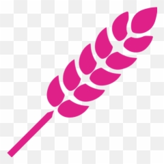 Barbie Pink Wheat Icon - Free barbie icons png