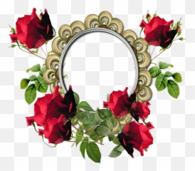 Oval Pink Borders Scrapbook - StyleFlowerBorderOvalPhoto Frame Png