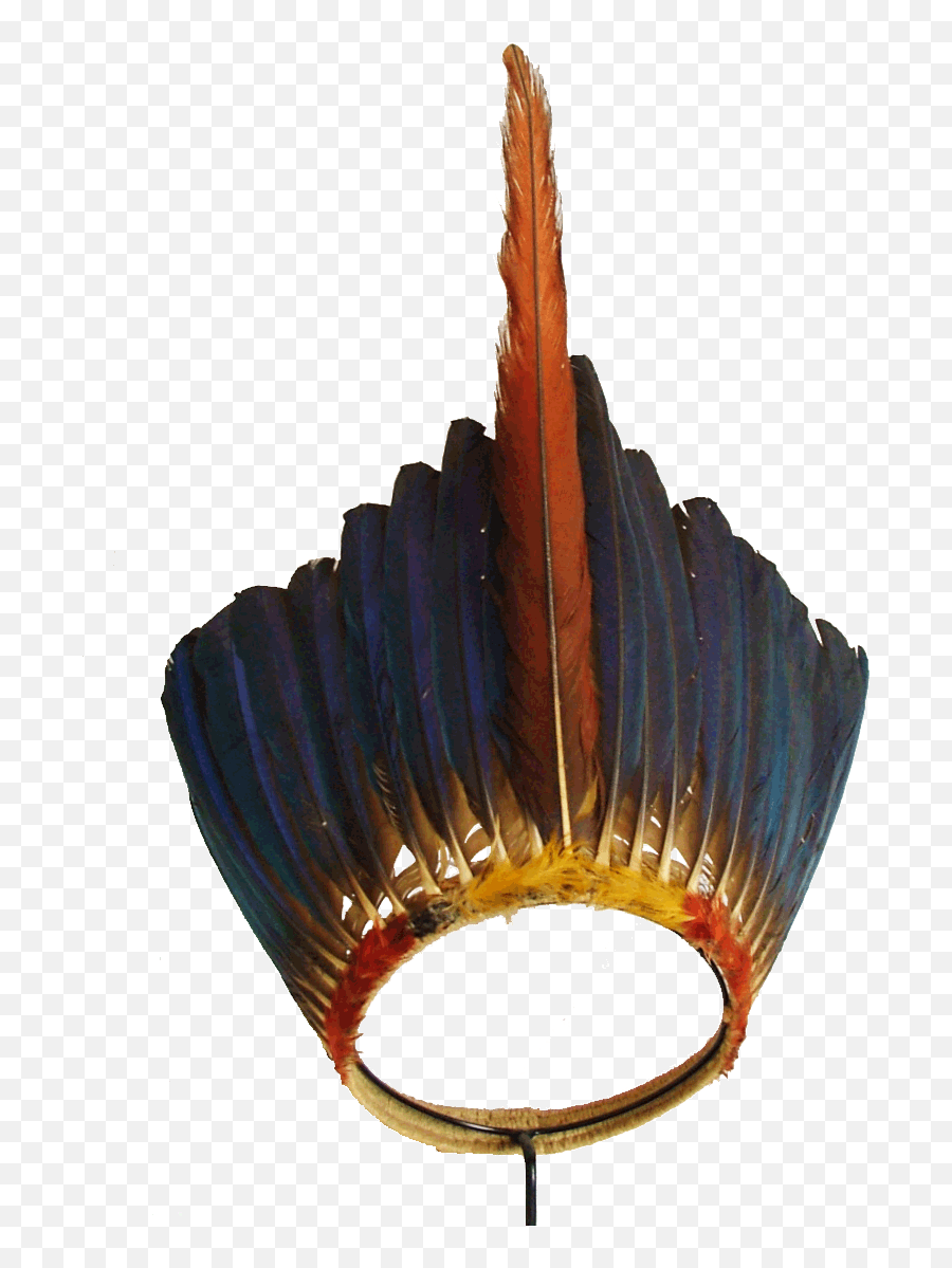 Macaw Feather Transparent Image Png Arts - Amazonian Headdress,Headdress Png