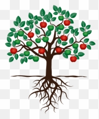 Download Hd Fruit Tree Drawing Apple Root - Fruit Tree With Apple Tree With Roots Clipart Png,Fruit Tree Png