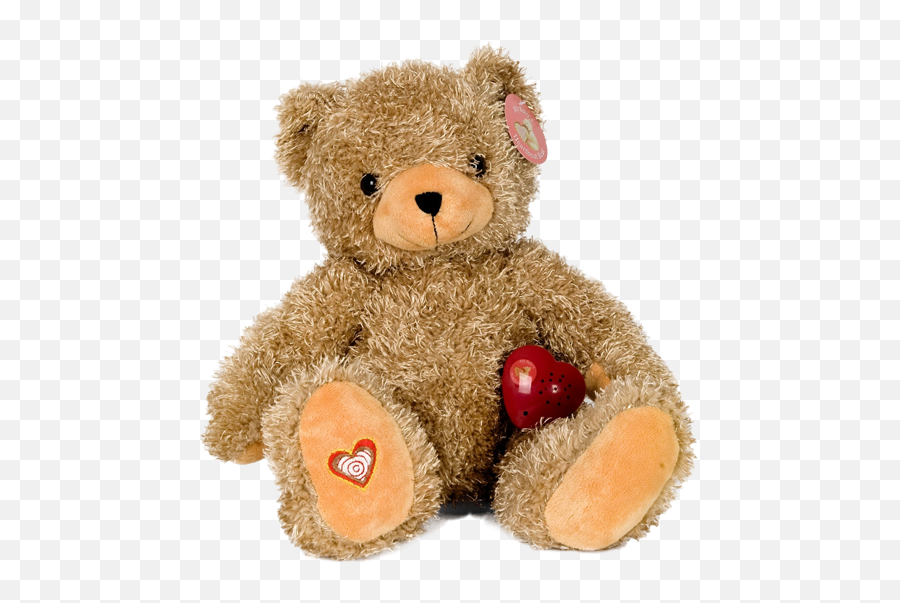 Upgrades U0026 A La Carte Items U2014 Sweet Peek Sonography - Teddy Bear Png,Stuffed Animal Png