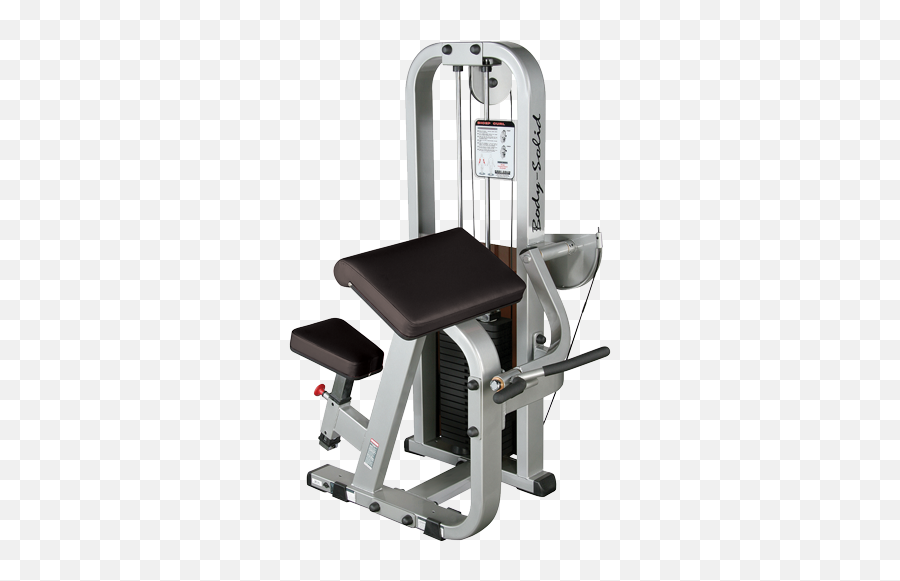 Pro Club Line Biceps Curl Machine Sbc600 - Biceps Png,Bicep Png