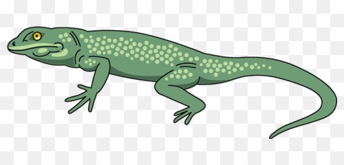 Lizard Clipart Free Download Transparent Png Creazilla - Clip Art,Lizard Png