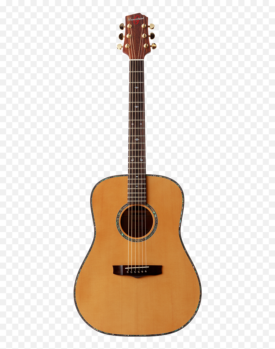 Download Dreadnought - Acoustic Guitar Vector Png Image With Antonio Torres Jurado Guitar,Guitar Vector Png