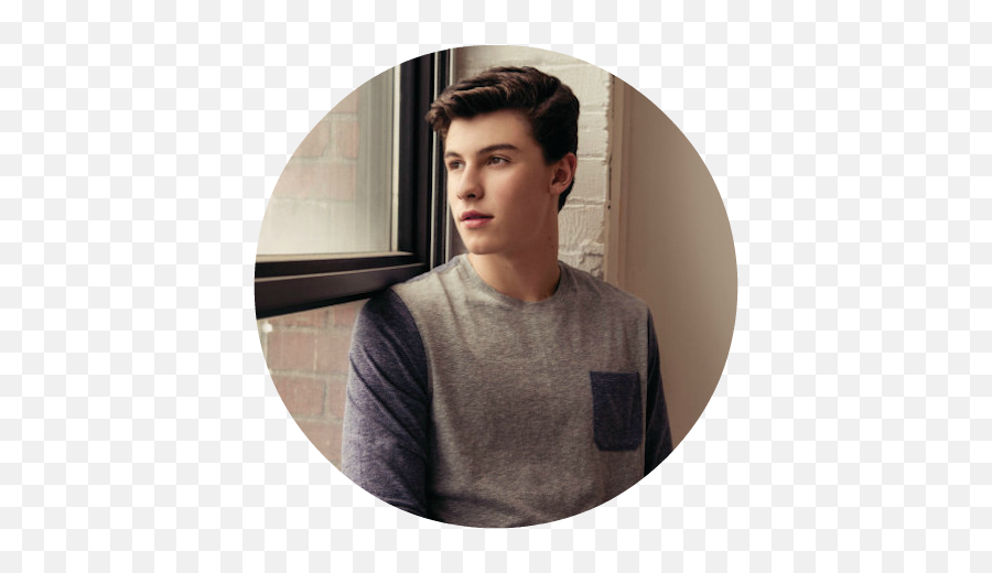 Shawn Mendes Teen Wolf - Never Read Old Chats Png,Shawn Mendes Png