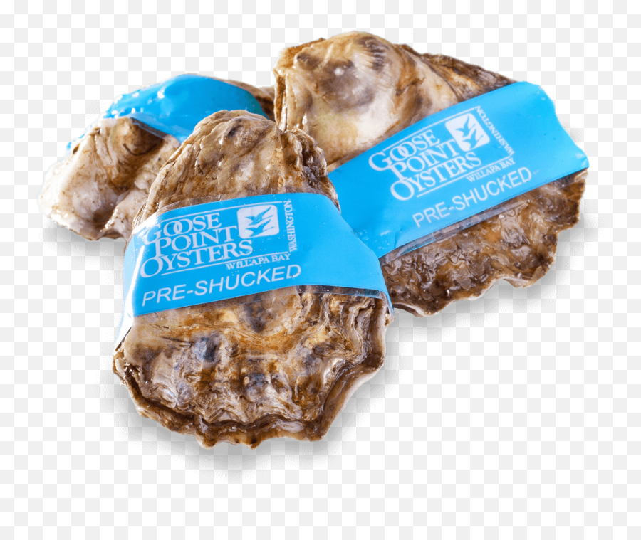 Pacific Shellfish From Willapa Bay Goose Point - Confectionery Png,Oysters Png