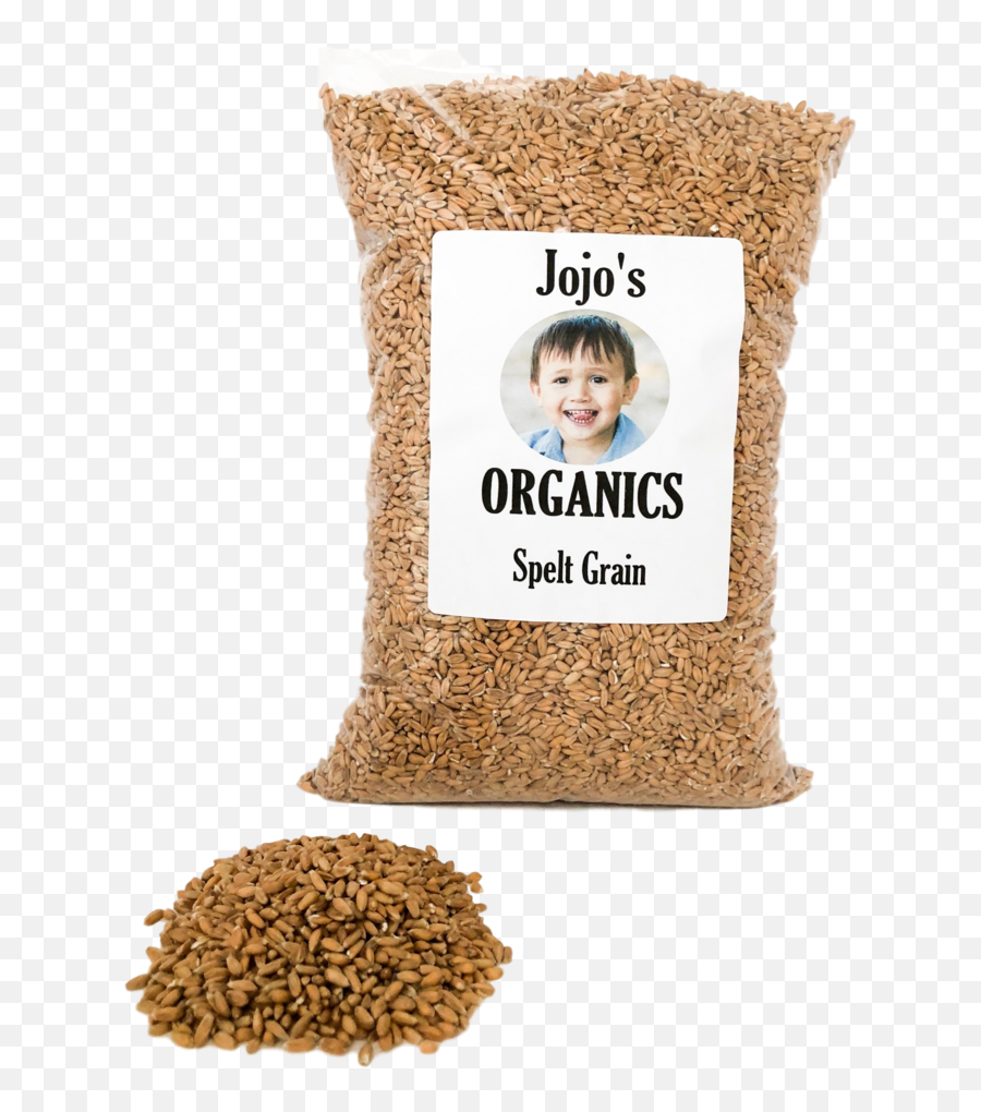 Organic Spelt Grain - Emmer Png,Grain Png