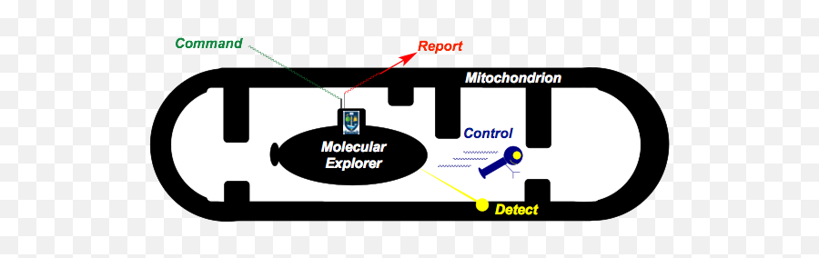 Research - Online Advertising Png,Mitochondria Png