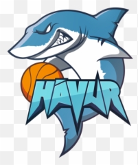 Shark Logo Png - Automotive Decal,Shark Logo Png