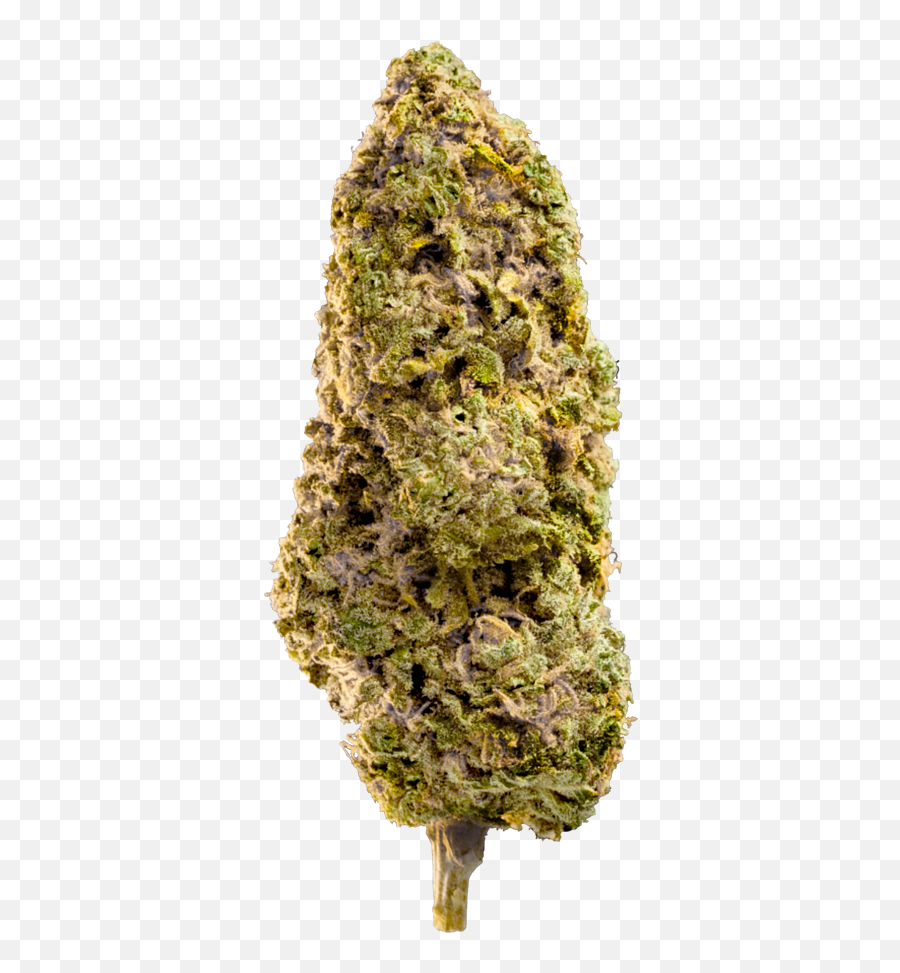 Buy Fast Master Marijuana Seeds - Language Png,Weed Nugget Png