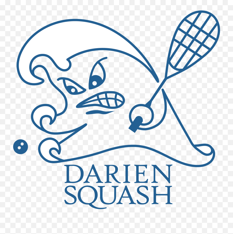 Brand Guidelines Darien Squash Inc - Portable Network Graphics Png,Wave Logo