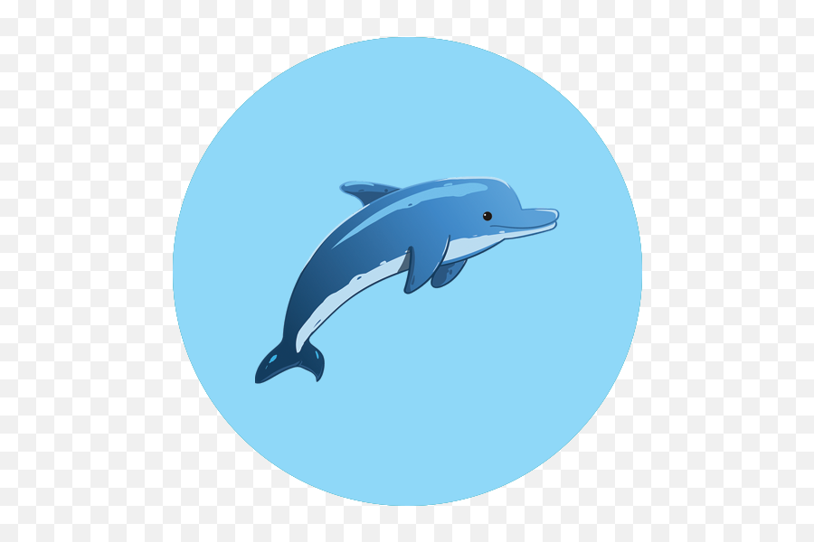 Account - First Time User Free The Ocean Delfin Dibujo Png,Dolphin Icon