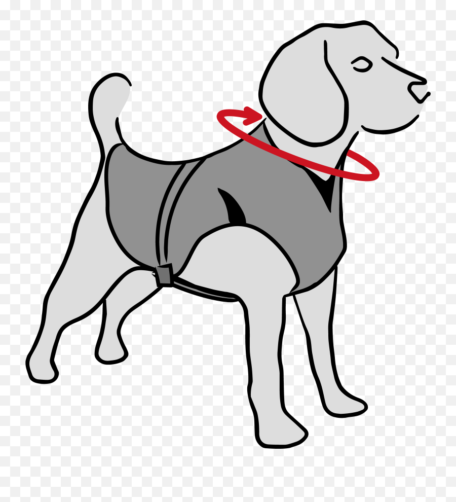 Dry Cooling Vest - Medical Pet Shirts Martingale Png,Leash Icon