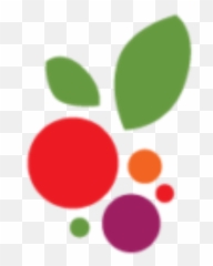 Non - Discrimination Statement Berkeley Food Network Dot png