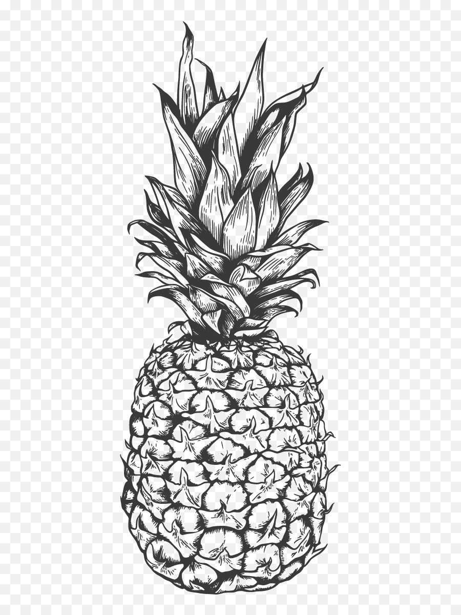 About Bungalow - Vintage Pineapple Vector Png,Home Decor Icon