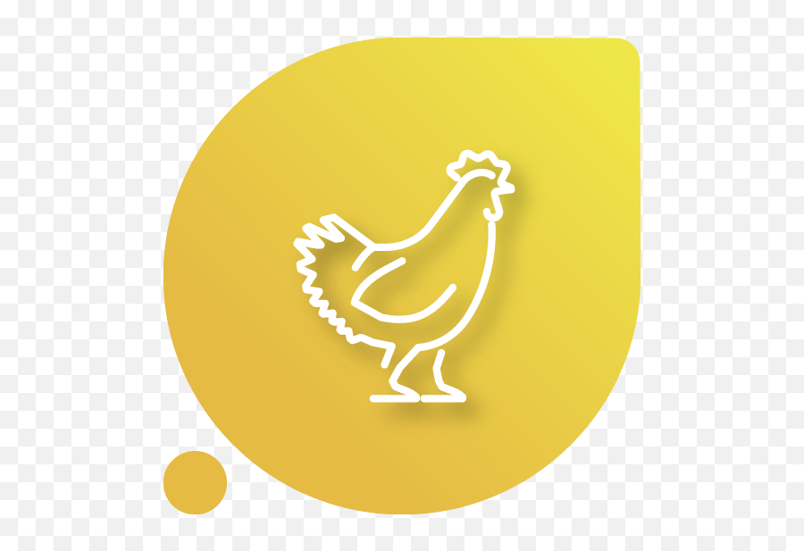 Probiotic Additive For Poultry Biomart - Comb Png,Poultry Icon
