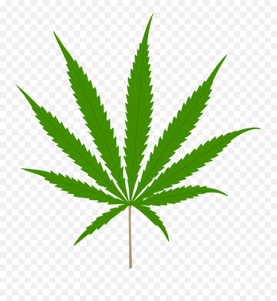 Our Instructors U2014 Truhemphealth - Cannabis Png,Marijuana Leaf Icon